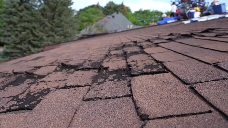 Best Commercial Roofing Services  in Idyllwild Pine Cove, CA