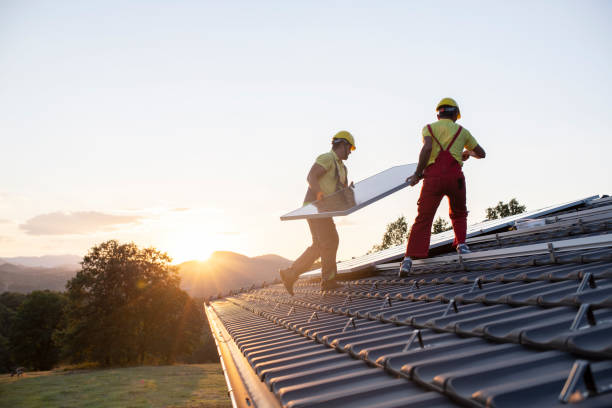 Best Skylight Installation and Repair  in Idyllwild Pine Cove, CA
